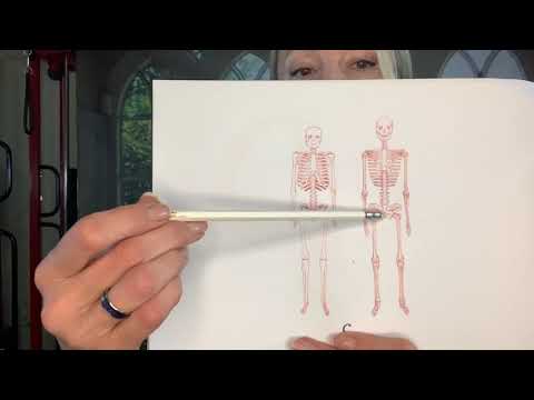 Video: Deformacija Skeleta Kod Vodozemaca