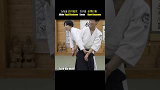 Aikido master disappears in your hand!