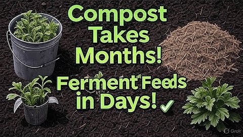 Why I Ferment Instead of Composting | The Secret Fertilizer That Works 10X Faster