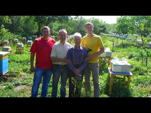 Анонс стрима. Разведение содержание селекция украинской степной породы пчел Егошин Леонид Ратмирович