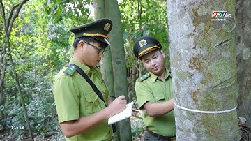 Những người giữ màu xanh cho đảo || VÌ CÔN ĐẢO XANH [16/2/2025] || BRT TV