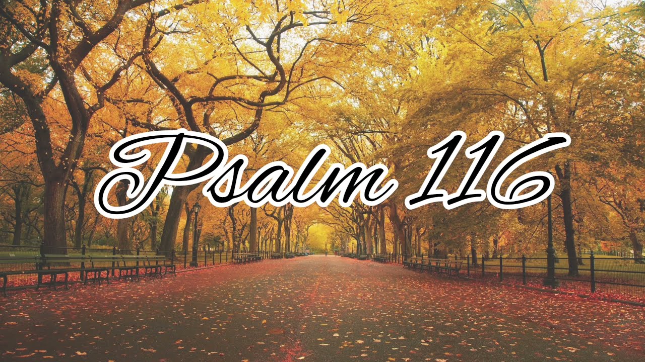 Psalm 116 NLT Audiovisual YouTube Psalm 116 NLT Audiovisual YouTube