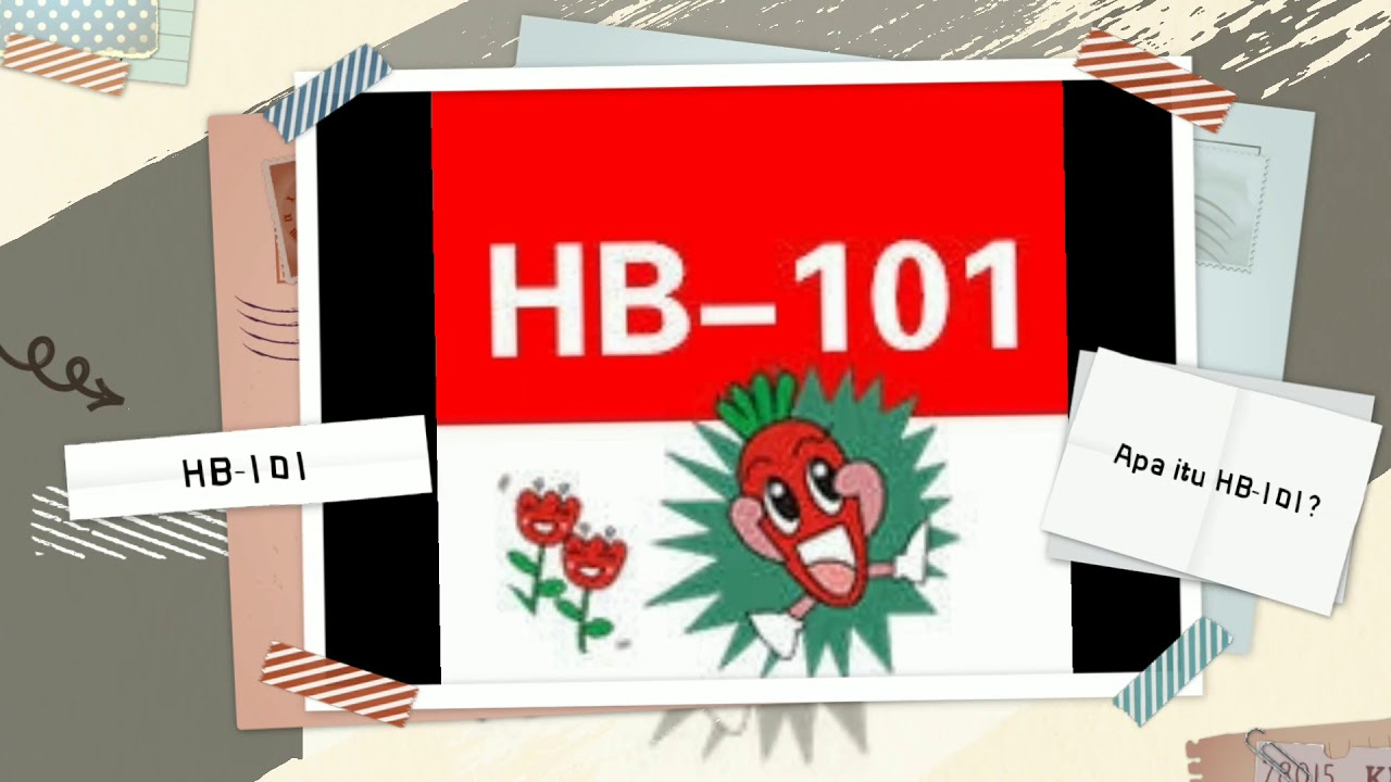 Apa Itu Hb Analysis Apa Itu Hb Analysis
