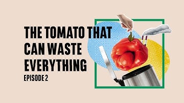 The Ripple Effect Episode 2: The tomato that can waste everything