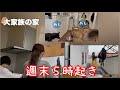 【大家族の家事動画】私は犬に癒しをもらうのです【前編】