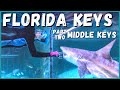 🦈🏝️ Ultimate Florida Keys Road Trip: Middle Keys What to See, Do and Eat! | Newstates in the States