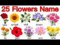 25 Flower Names English and Hindi | फूलों के नाम | Kids Learning Video | Flowers Name 🌼 | Sunflower
