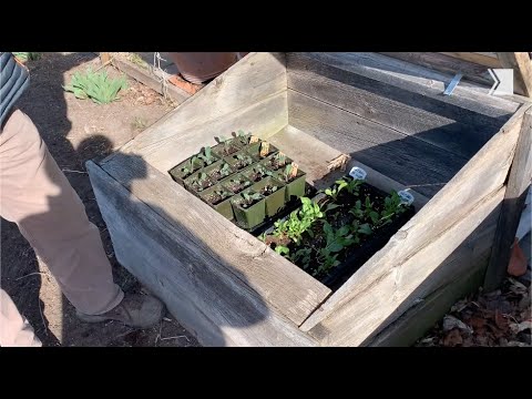 Gardening expert Mark Cullen gives tips on using cold frames