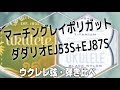 【ウクレレ弦比較動画】マーチングラファイトグレーポリガット弦×ダダリオEJ53S(2-4st)+EJ87S(1st)