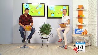 Выпуск программы «Новый день» за 14 февраля