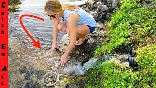 FISH find $10,000 PEARLS in BACKYARD POND?