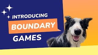 How to teach your dog BOUNDARY games