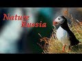 Бинокли Veber Nature Russia