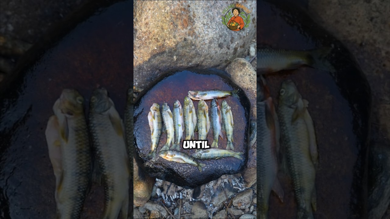 Riverside cooking with fresh fish, goose eggs, wild herbs, and bamboo flavors 🌿🐟🥚🔥