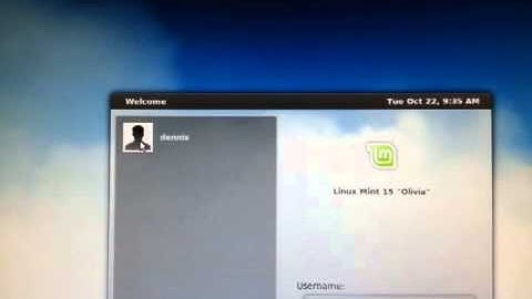 Linux Mint 15 broken startup