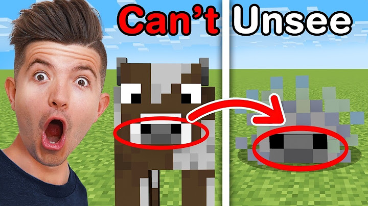 Insane Minecraft Things You CAN'T UNSEE