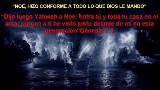 24 julio 2016 NOÉ, HIZO CONFORME A TODO LO QUE DIOS LE MANDÓ 24 julio 2016 NOÉ, HIZO CONFORME A TODO LO QUE DIOS LE MANDÓ