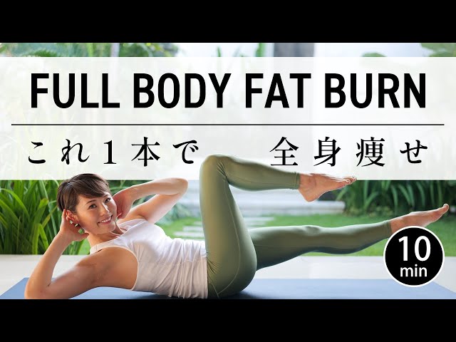 [10 minutes] Full body workout for beginners - no equipment #641 class=