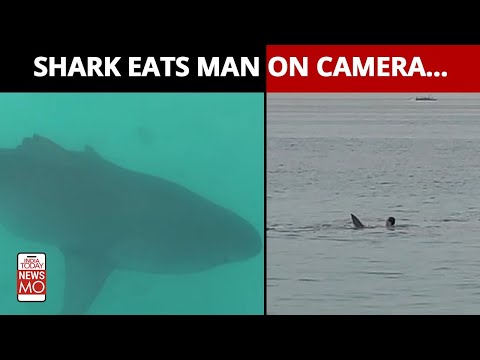 A Russian Tourist Was Eaten Alive By A Shark On Camera...