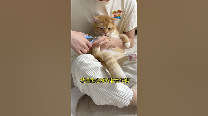 猫咪不让剪指甲怎么办？教你5招轻松搞定养宠进阶指南 养猫经验分享 养猫人