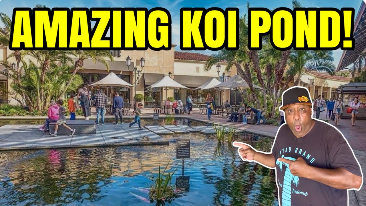 I Found a Public Koi Pond!