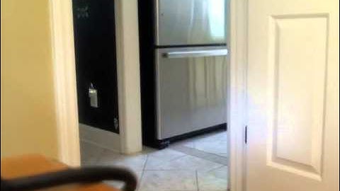 iSpyConnect Motion Detection Video 3. FIzz Roaming.