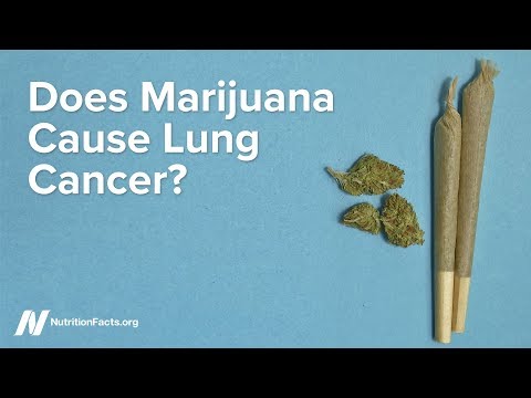 Does Marijuana Cause Lung Cancer?