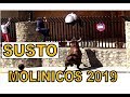 SUSTO TORO Encierro Molinicos 2019 San José