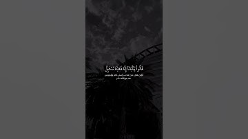وَجَاءُوا أَبَاهُمْ عِشَاءً يَبْكُونَ 🤍🥀 "سورة يوسف" القارئ/ محمد هشام ✅