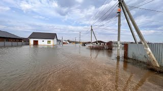 Наводнение Оренбург . Последствия