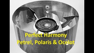 Petrel, Polaris & Ocelot: Harmony in the Wind!