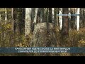 В Иркутской области сократилось количество незаконных рубок леса
