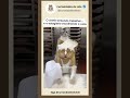 Não atrapalhe o chefe de cozinha #shorts #viral #memes #ias