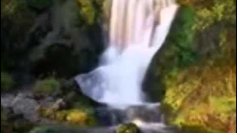 تلاوة رائعة للشيخ ناصر الحمد