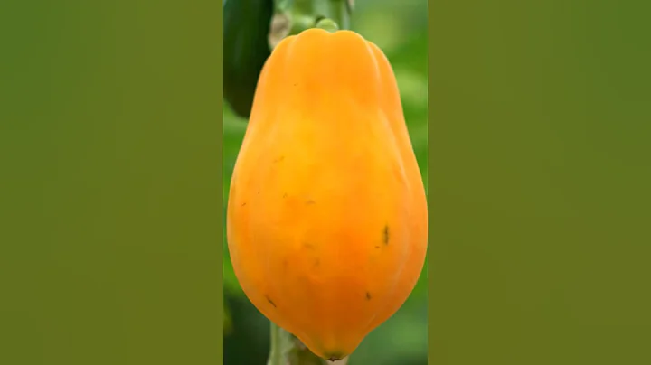 Cutting Glass Fruit Papaya 🍉 ASMR #ai #aiart #asmrsounds #asmr #aiasmr #satisfyingvideo #trend