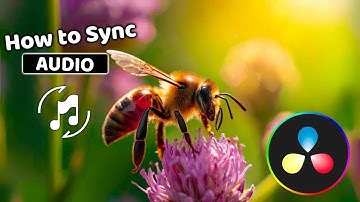 How to Sync Audio in DaVinci Resolve 18 (2024)