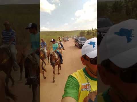 5 cavalgada do