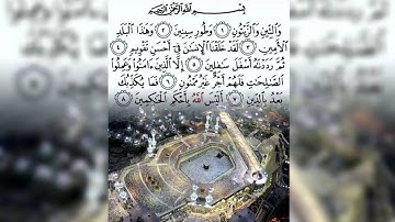 سورة التين القران الكريم Surah Al-Tin