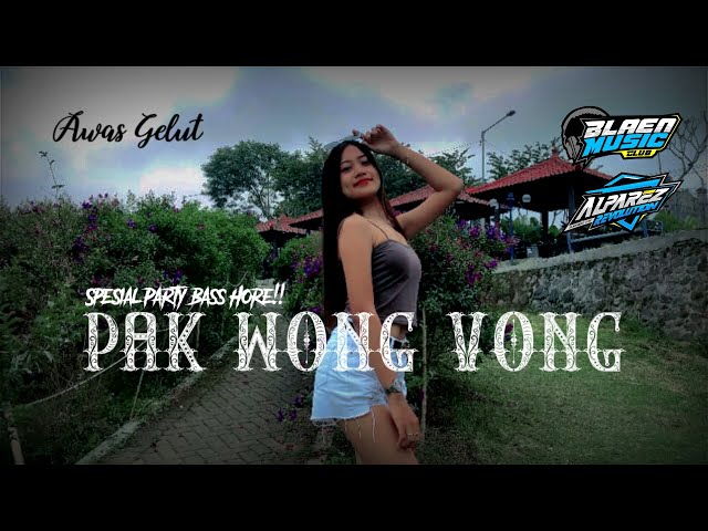 DJ Pak Wong Vong Alparez Refolution || SPESIAL PARTY BASS BETON Blaen Music || BN Audio Feat Elvina. class=