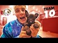 I ACTUALLY BOUGHT A PUPPY  **not clickbait**