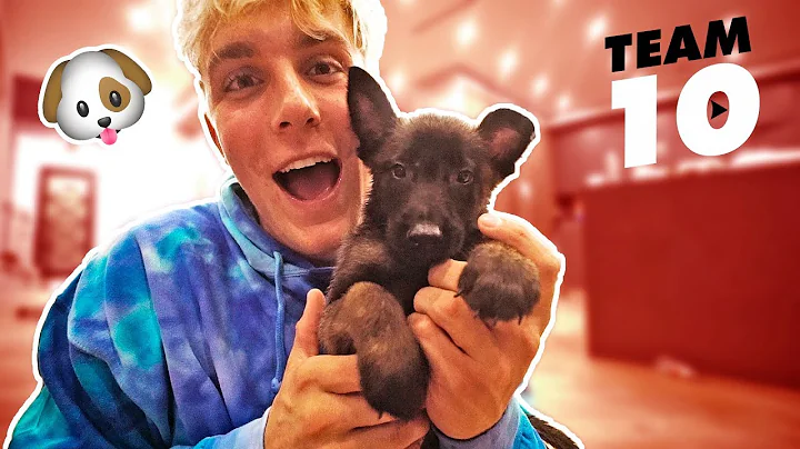 I ACTUALLY BOUGHT A PUPPY  **not clickbait**