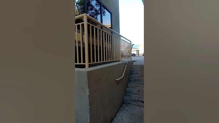 937 #Whohoo theres the dog