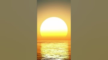 سورة الماعون / ياسر الدوسري