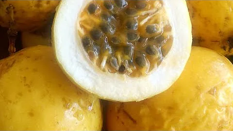 O que é um suco concentrado?