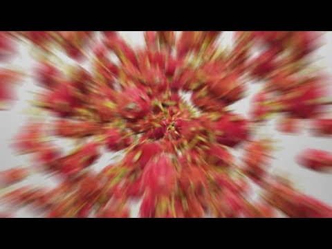 Dragonfruit Explosion 4K 60fps - Alpha Channel for Overlays