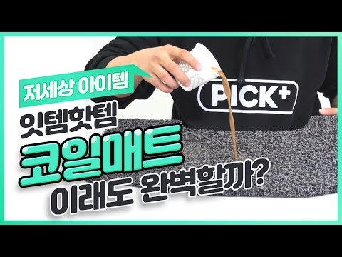 자동차다이렉트보험