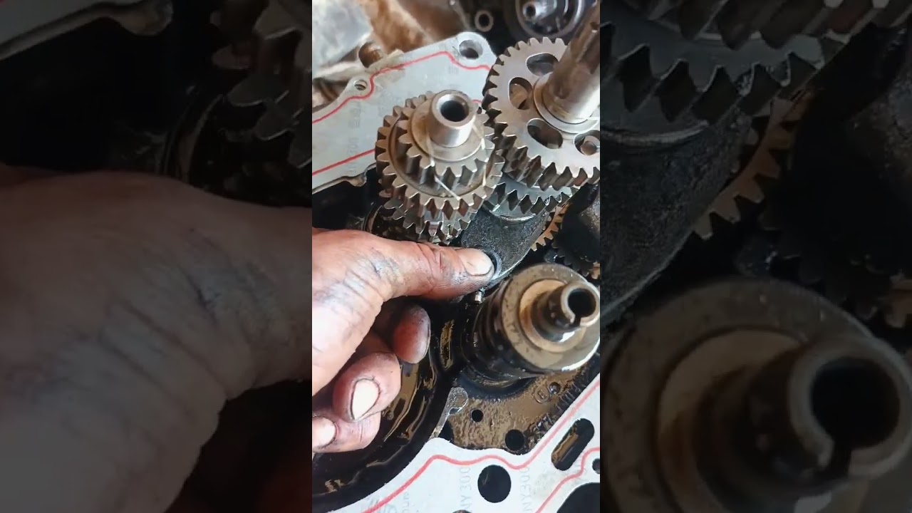 ٢٦ فبراير ٢٠٢٦