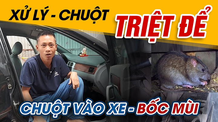 Cách để chuột không chui vào xe ô to