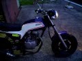 HONDA　エイプ50（AC16）　CB-F仕様