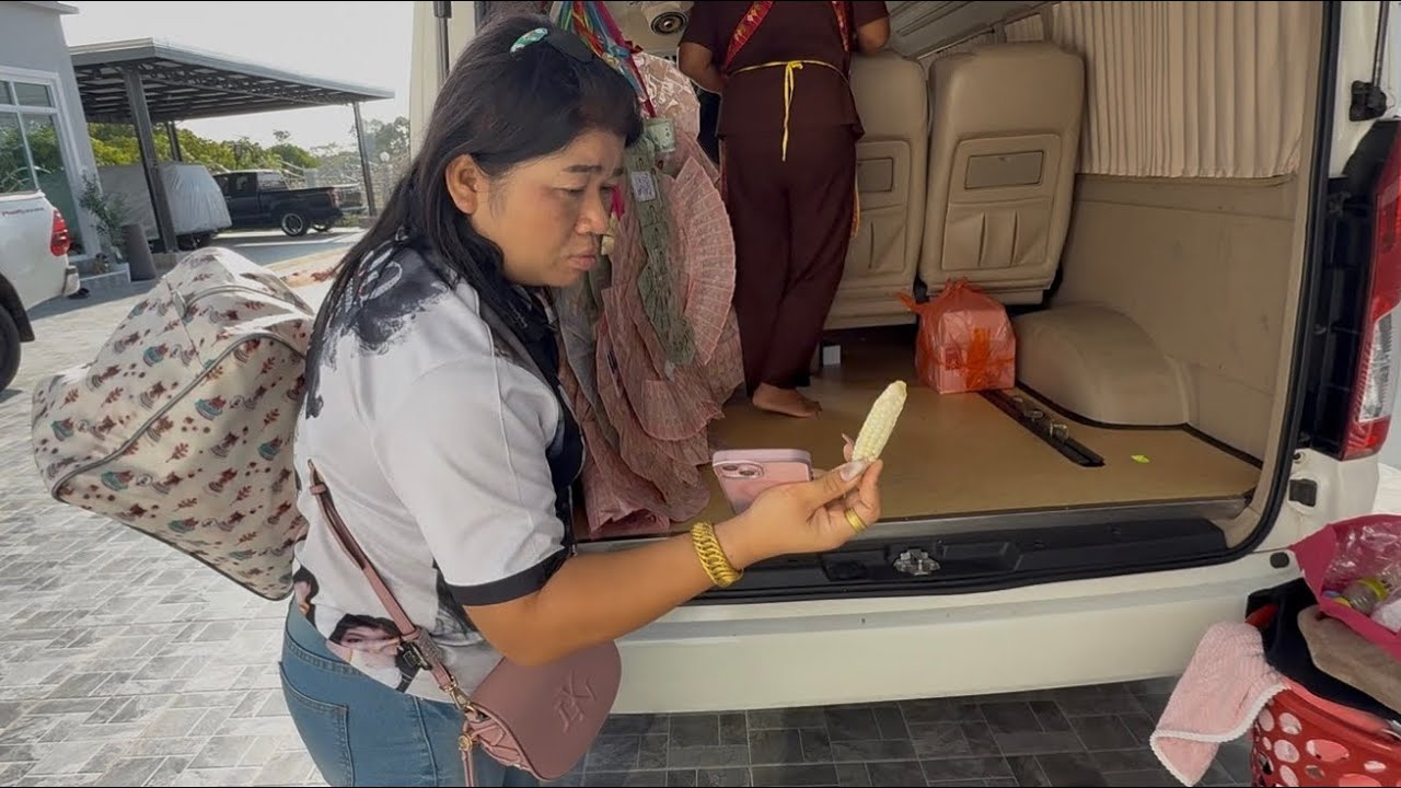 ถึงบ้านแล้วแม่หน่อยถึงกับตะลึงข้าวโพดผลผลิตจากสวน มันใหญ่มาก 9 มีนาคม 2569